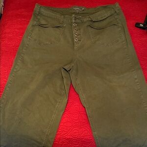 Torrid Flat Front Pocket Green Wide Leg ankle crop Pants